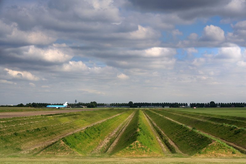 Illustration for article titled How This Simple Landscaping Project Quiets an Airport's Roar